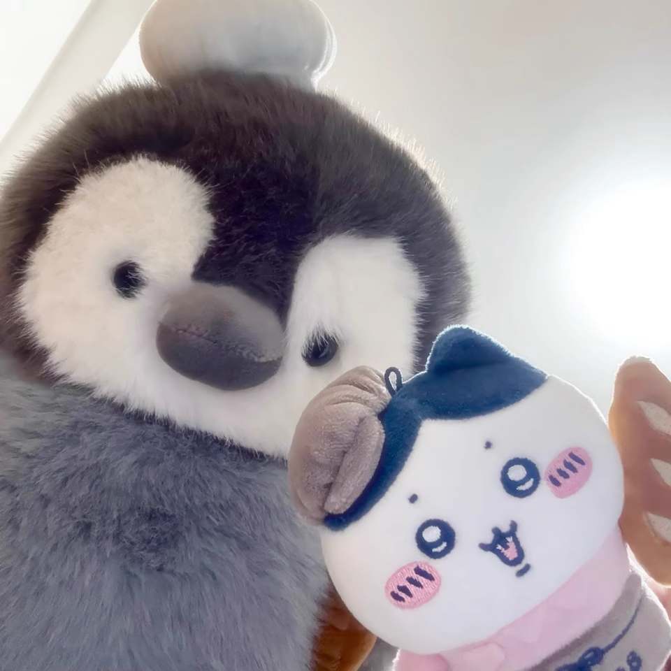 Duoai Penguin Plush – Original Design Mini Penguin Toy for Cozy Desk Companionship Duoai Penguin Plush – Original Design Mini Penguin Toy for Cozy Desk Companionship