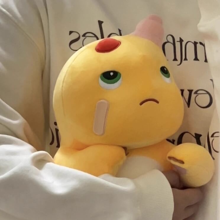 Logell NAILONG Cute Sad Dragon Plush 15.7" - Embroidered Pout Comfort Toy - Logell